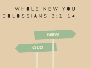 Whole New You