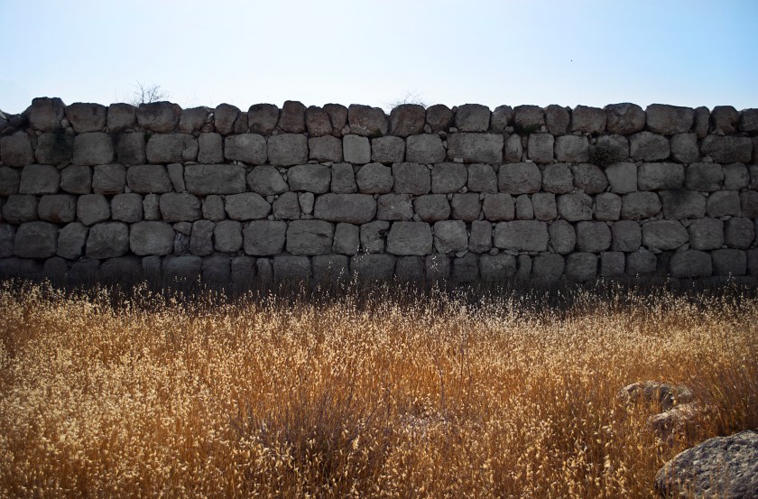 lightstock_79757_medium_blake